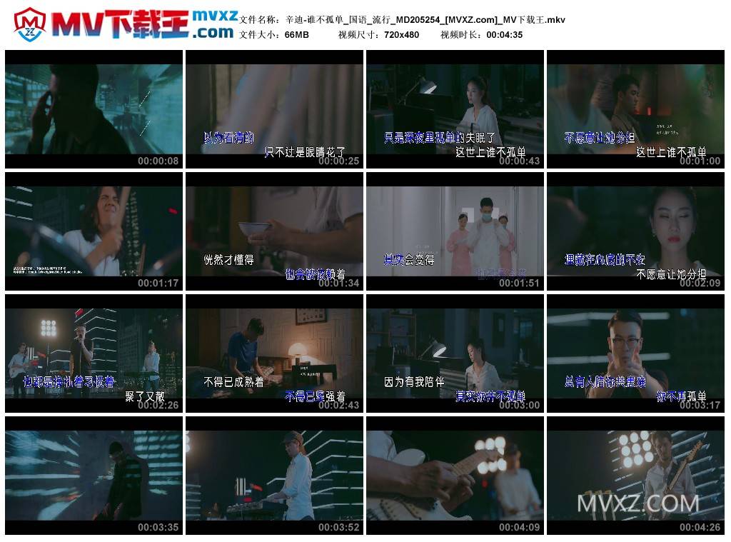 辛迪-谁不孤单_国语_流行_MD205254